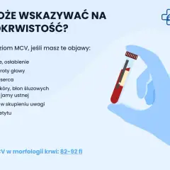 Zbadaj poziom MCV, jeśli odczuwasz zmęczenie, bladość lub inne objawy niedokrwistości. Norma MCV to 82-92 fl.