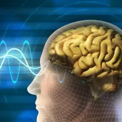 Grafika przedstawia mózg w siatce, z falami mózgowymi symbolizującymi eeg głowy.