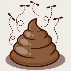 Koprofilia co to? Ilustracja przedstawia kupę z latającymi nad nią muchami, symbolizującą nieczystości.