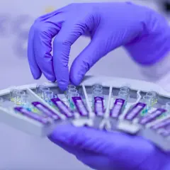 Ręka w fioletowej rękawiczce manipuluje próbówkami w laboratorium. Szybkie testy, jak **mycofast**, wymagają precyzji.