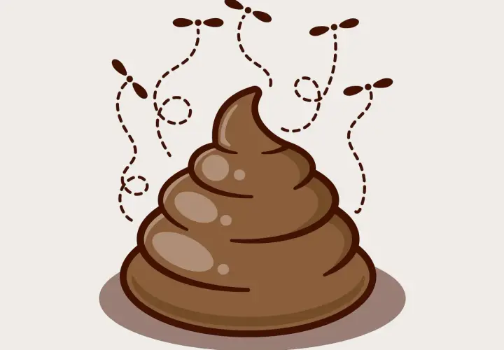 Koprofilia co to? Ilustracja przedstawia kupę z latającymi nad nią muchami, symbolizującą nieczystości.