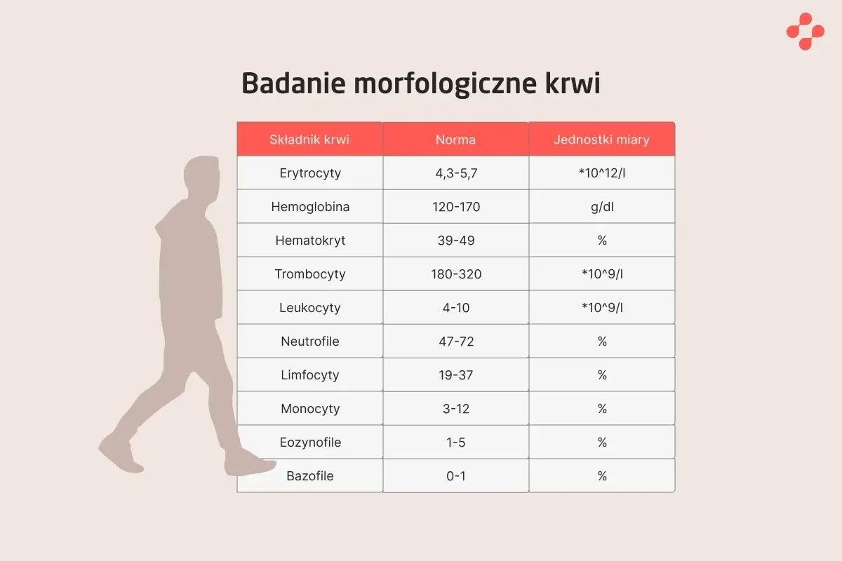 Tabela z badaniem morfologicznym krwi: erytrocyty, hemoglobina, hematokryt, trombocyty, leukocyty, neutrofile, limfocyty, monocyty, eozynofile, bazofile. Pytanie "pdw co to" może dotyczyć parametrów z tej analizy.